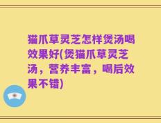 猫爪草灵芝怎样煲汤喝效果好(煲猫爪草灵芝汤，营养丰富，喝后效果不错)