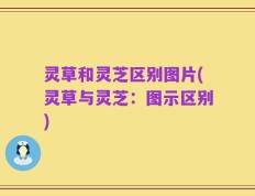 灵草和灵芝区别图片(灵草与灵芝：图示区别)