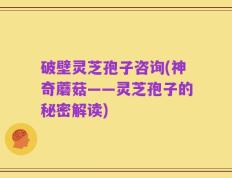 破壁灵芝孢子咨询(神奇蘑菇——灵芝孢子的秘密解读)