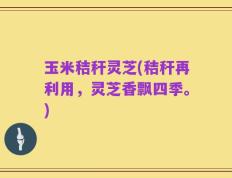 玉米秸秆灵芝(秸秆再利用，灵芝香飘四季。)
