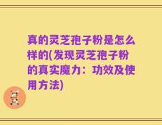 真的灵芝孢子粉是怎么样的(发现灵芝孢子粉的真实魔力：功效及使用方法)