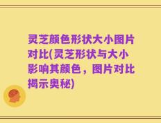 灵芝颜色形状大小图片对比(灵芝形状与大小影响其颜色，图片对比揭示奥秘)