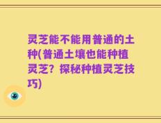 灵芝能不能用普通的土种(普通土壤也能种植灵芝？探秘种植灵芝技巧)