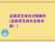 盆栽灵芝成长过程图片(盆栽灵芝成长全程详解！)