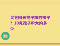 灵芝刚长孢子粉的样子？10克孢子粉大约多少