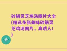 砂锅灵芝鸡汤图片大全(精选多张美味砂锅灵芝鸡汤图片，真诱人！)