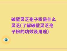 破壁灵芝孢子粉是什么灵芝(了解破壁灵芝孢子粉的功效及用途)