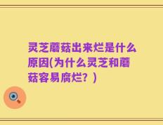 灵芝蘑菇出来烂是什么原因(为什么灵芝和蘑菇容易腐烂？)