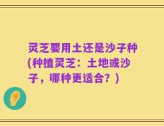 灵芝要用土还是沙子种(种植灵芝：土地或沙子，哪种更适合？)