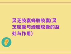 灵芝胶囊蜂胶胶囊(灵芝胶囊与蜂胶胶囊的益处与作用)