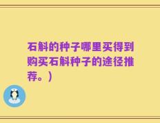 石斛的种子哪里买得到购买石斛种子的途径推荐。)