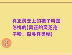 真正灵芝上的孢子粉是怎样的(真正的灵芝孢子粉：探寻其奥秘)