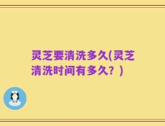 灵芝要清洗多久(灵芝清洗时间有多久？)
