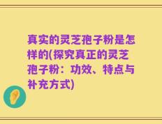 真实的灵芝孢子粉是怎样的(探究真正的灵芝孢子粉：功效、特点与补充方式)