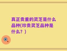 真正贵重的灵芝是什么品种(珍贵灵芝品种是什么？)