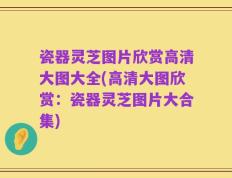 瓷器灵芝图片欣赏高清大图大全(高清大图欣赏：瓷器灵芝图片大合集)