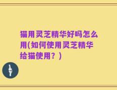 猫用灵芝精华好吗怎么用(如何使用灵芝精华给猫使用？)