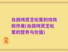 白鸽炖灵芝松茸的功效和作用(白鸽炖灵芝松茸的营养与价值)