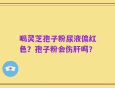 喝灵芝孢子粉尿液偏红色？孢子粉会伤肝吗？