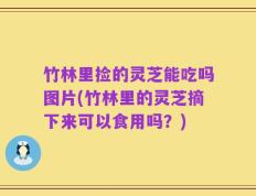 竹林里捡的灵芝能吃吗图片(竹林里的灵芝摘下来可以食用吗？)