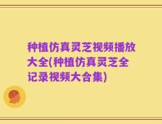 种植仿真灵芝视频播放大全(种植仿真灵芝全记录视频大合集)