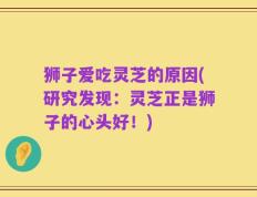 狮子爱吃灵芝的原因(研究发现：灵芝正是狮子的心头好！)