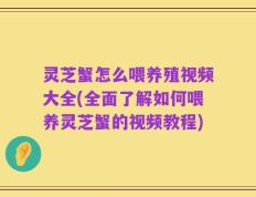 灵芝蟹怎么喂养殖视频大全(全面了解如何喂养灵芝蟹的视频教程)