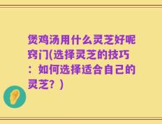 煲鸡汤用什么灵芝好呢窍门(选择灵芝的技巧：如何选择适合自己的灵芝？)