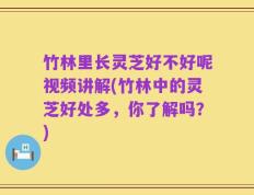 竹林里长灵芝好不好呢视频讲解(竹林中的灵芝好处多，你了解吗？)