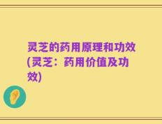 灵芝的药用原理和功效(灵芝：药用价值及功效)