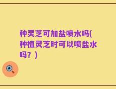 种灵芝可加盐喷水吗(种植灵芝时可以喷盐水吗？)