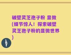 破壁灵芝孢子粉 显微(细节惊人！探索破壁灵芝孢子粉的显微世界)