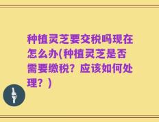 种植灵芝要交税吗现在怎么办(种植灵芝是否需要缴税？应该如何处理？)