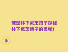 破壁林下灵芝孢子探秘林下灵芝孢子的奥秘)