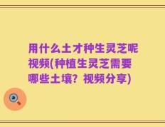 用什么土才种生灵芝呢视频(种植生灵芝需要哪些土壤？视频分享)