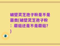 破壁灵芝孢子粉是不是菌类(破壁灵芝孢子粉：蘑菇还是不是蘑菇？)
