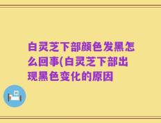白灵芝下部颜色发黑怎么回事(白灵芝下部出现黑色变化的原因