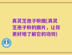 真灵芝孢子粉图(真灵芝孢子粉的图片，让你更好地了解它的功效)