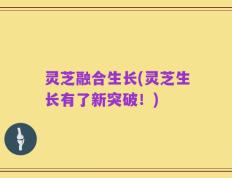 灵芝融合生长(灵芝生长有了新突破！)