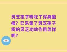 灵芝孢子粉吃了浑身酸痛？已采集了灵芝孢子粉的灵芝功效作用怎样呢？