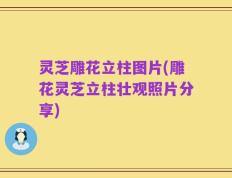 灵芝雕花立柱图片(雕花灵芝立柱壮观照片分享)