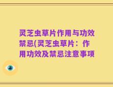 灵芝虫草片作用与功效禁忌(灵芝虫草片：作用功效及禁忌注意事项