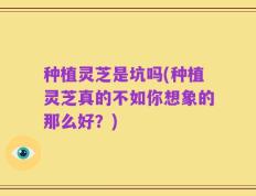 种植灵芝是坑吗(种植灵芝真的不如你想象的那么好？)