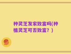 种灵芝发家致富吗(种植灵芝可否致富？)