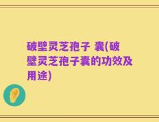 破壁灵芝孢子 囊(破壁灵芝孢子囊的功效及用途)