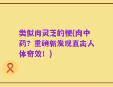 类似肉灵芝的梗(肉中药？重磅新发现直击人体奇效！)