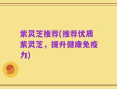 紫灵芝推荐(推荐优质紫灵芝，提升健康免疫力)