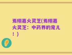 焉栩嘉火灵芝(焉栩嘉火灵芝：中药界的宠儿！)