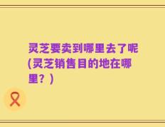 灵芝要卖到哪里去了呢(灵芝销售目的地在哪里？)