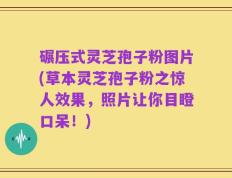 碾压式灵芝孢子粉图片(草本灵芝孢子粉之惊人效果，照片让你目瞪口呆！)